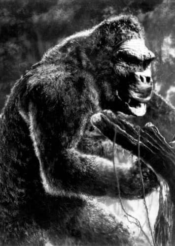 King Kong