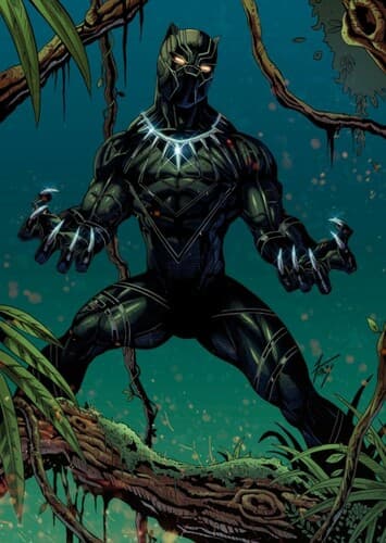 King T’Challa
