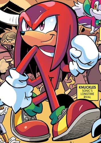Knuckles The Echidna