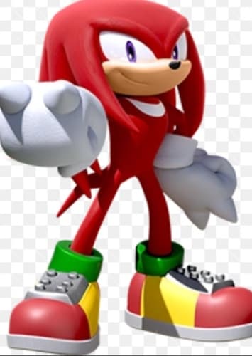 Knuckles The Echidna