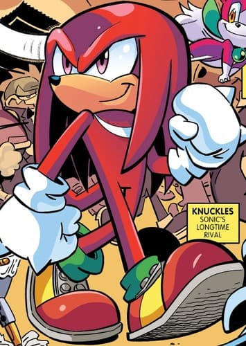 Knuckles The Echidna