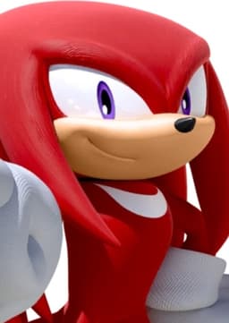 Knuckles The Echidna