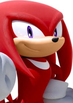 Knuckles The Echidna
