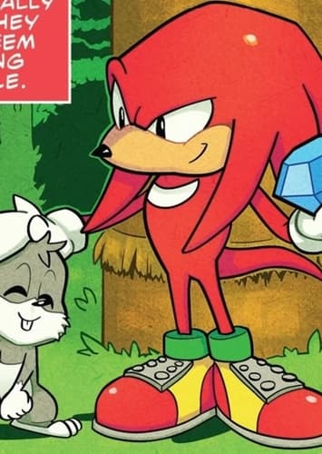 Knuckles The Echidna