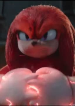 Knuckles The Echidna