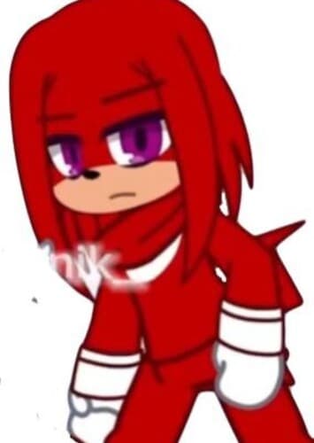 Knuckles The Echidna