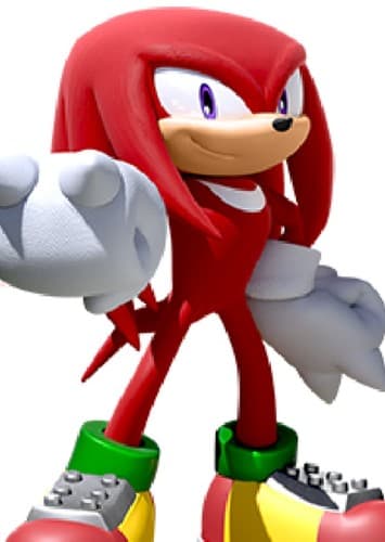 Knuckles The Echidna