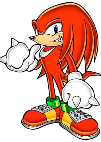 Knuckles The Echidna