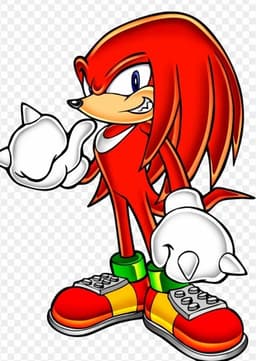 Knuckles The Echidna