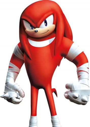 Knuckles the enchilada
