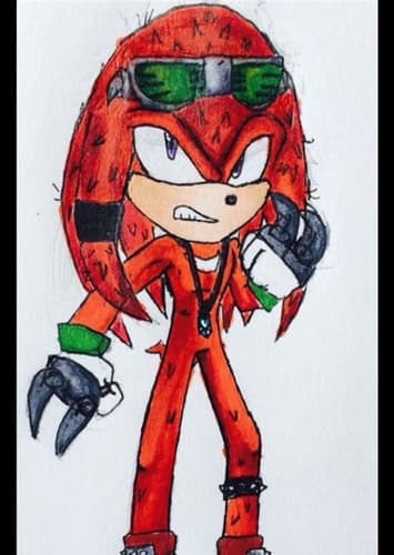 Knuckles the enchilada