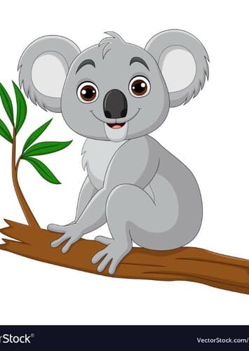 Koala