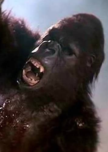 Kong 1986