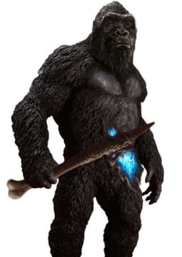 Kong