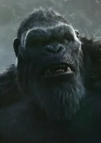Kong