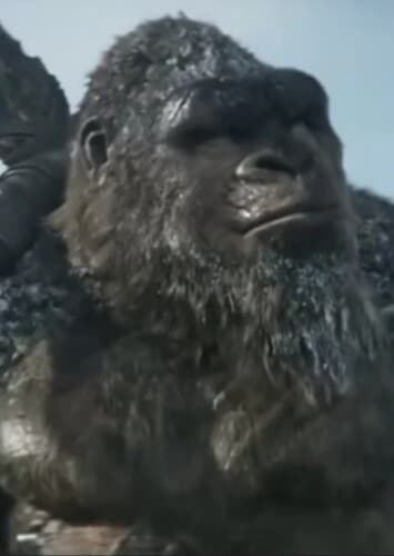 Kong