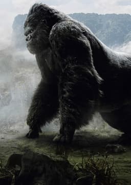 Kong