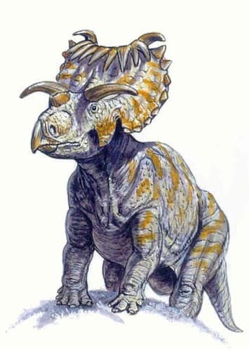 Kosmoceratops
