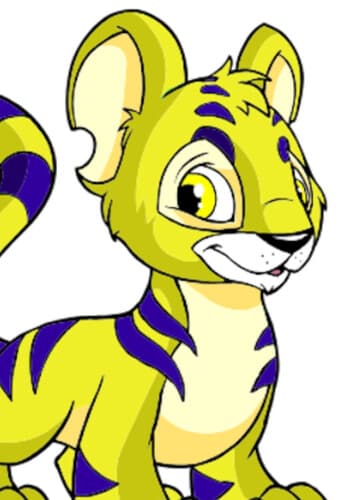 Kougra