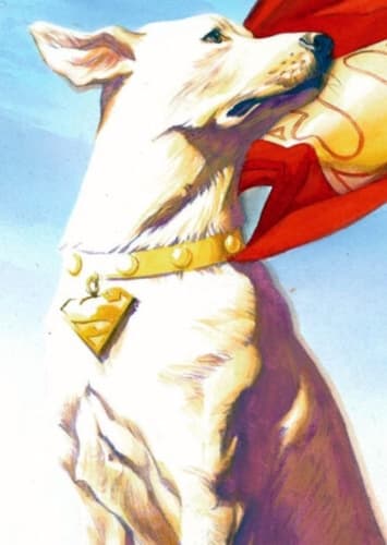 Krypto