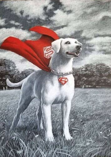 Krypto