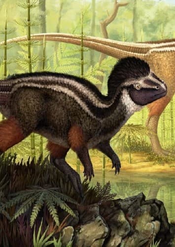Kulindadromeus