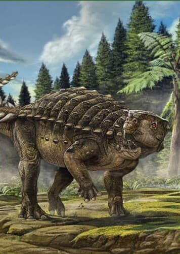 Kunbarrasaurus