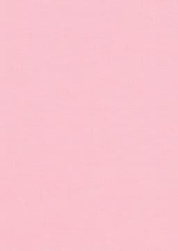 Larissa 'Lacy' De La Cour