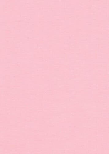 Larissa 'Lacy' De La Cour