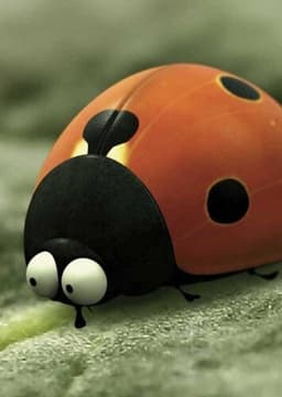 Ladybug