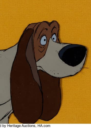 Layfatte that baset hound