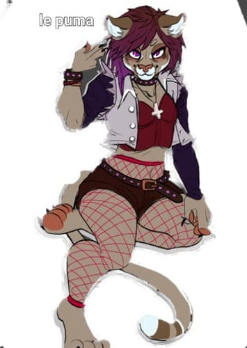 Le puma