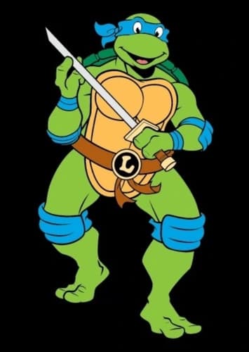 Leonardo Turtle
