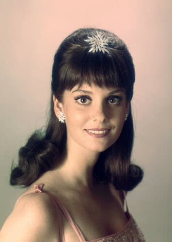 Lesley Ann Warren
