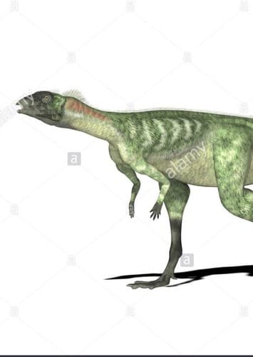 Lesothosaurus
