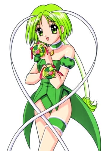 Lettuce Midorikawa