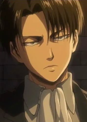 Levi