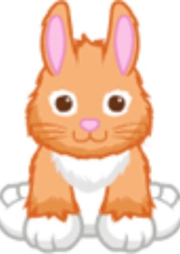 Lil Orange Spring Bunny