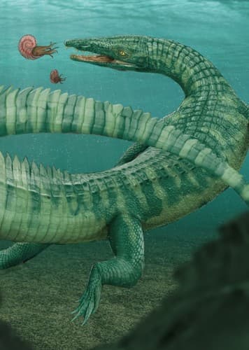 Litorosuchus
