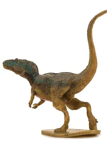 Little Allosaurus