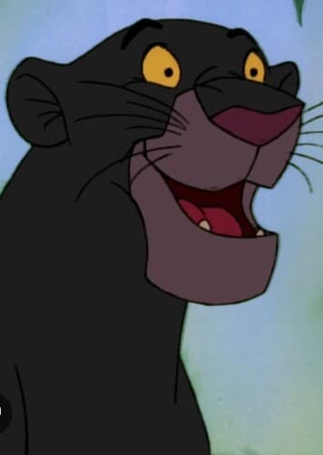 live-action Bagheera