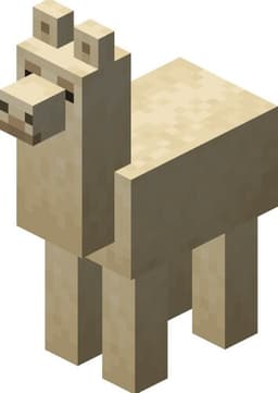Llama