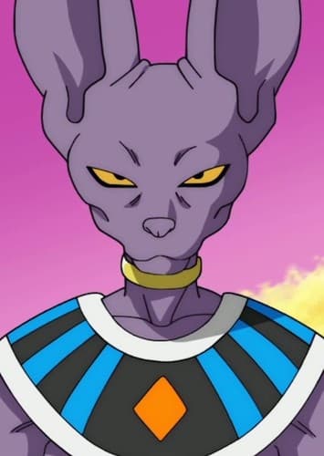 Lord Beerus
