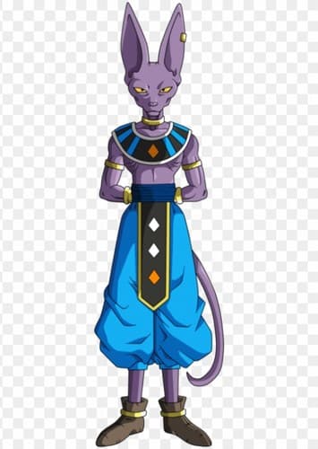 Lord Beerus