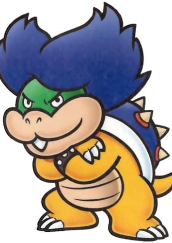 Ludwig Von Koopa