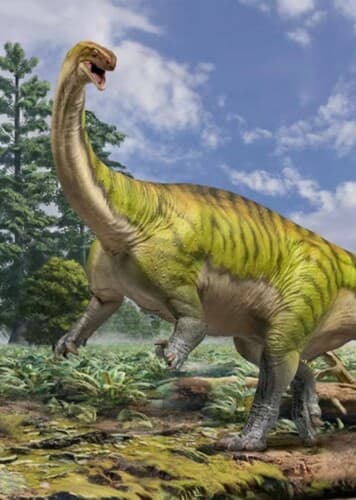 Lufengosaurus