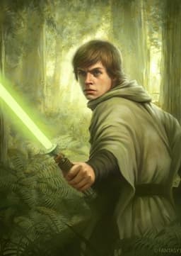 Luke Skywalker(Adult)