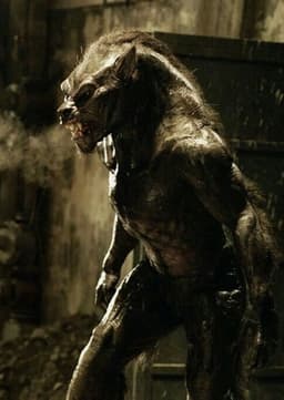 Lycans