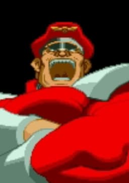 M.Bison