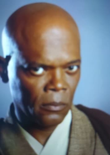 Mace Windu